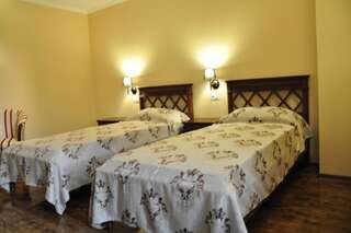 Отель Vigo Grand Hotel Плоешти Двухместный номер с 1 кроватью или 2 отдельными кроватями-10